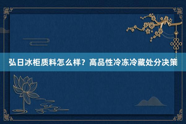 弘日冰柜质料怎么样？高品性冷冻冷藏处分决策