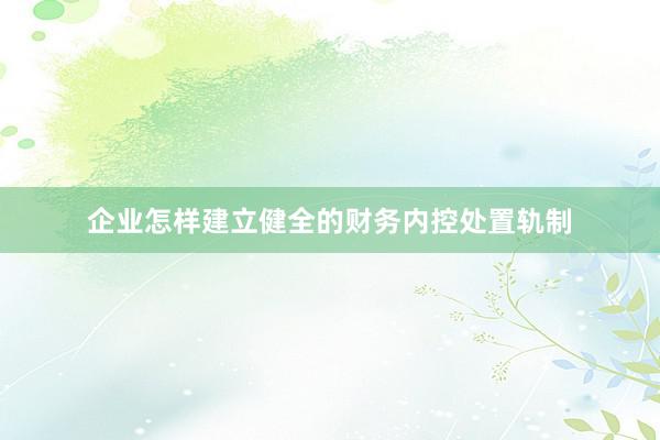 企业怎样建立健全的财务内控处置轨制