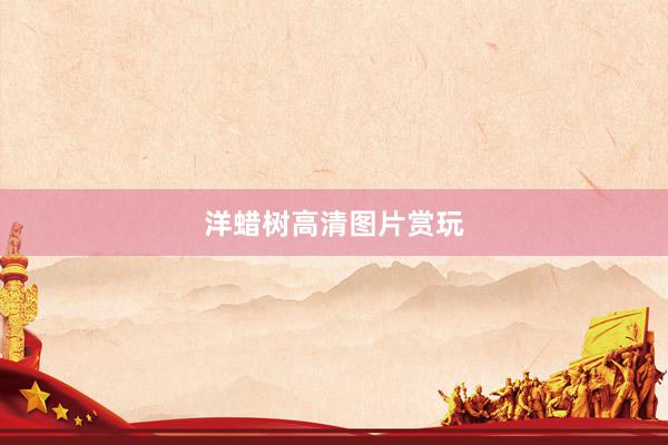 洋蜡树高清图片赏玩