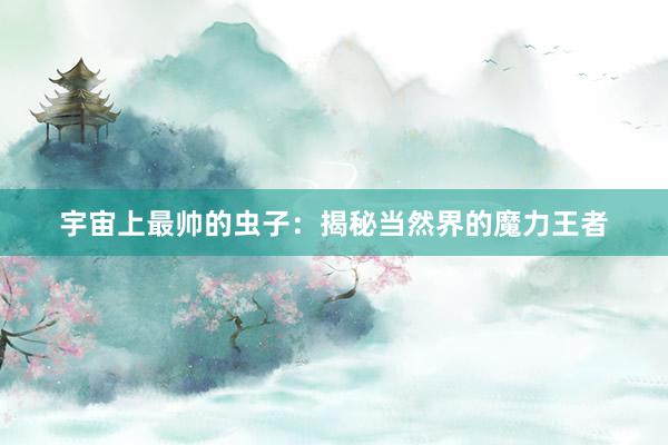 宇宙上最帅的虫子：揭秘当然界的魔力王者